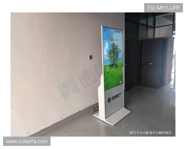 凯发体育客服系统升级，支持多语言服务满足不同地区用户需求