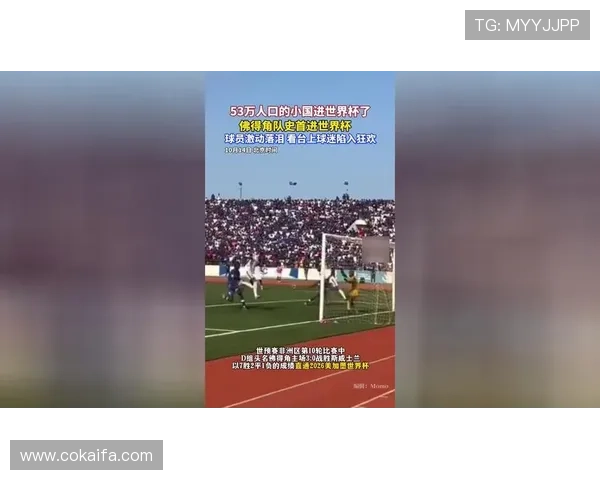世界杯沙特VS佛得角比赛门票价格分析与购票建议