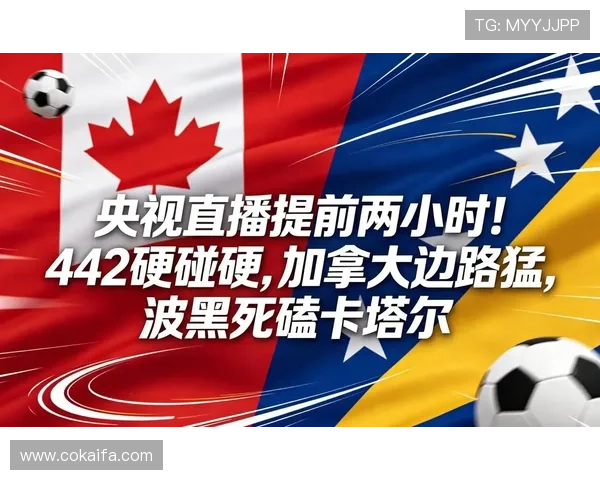 世界杯波黑对阵卡塔尔比赛现场直播全程回放与精彩瞬间分析